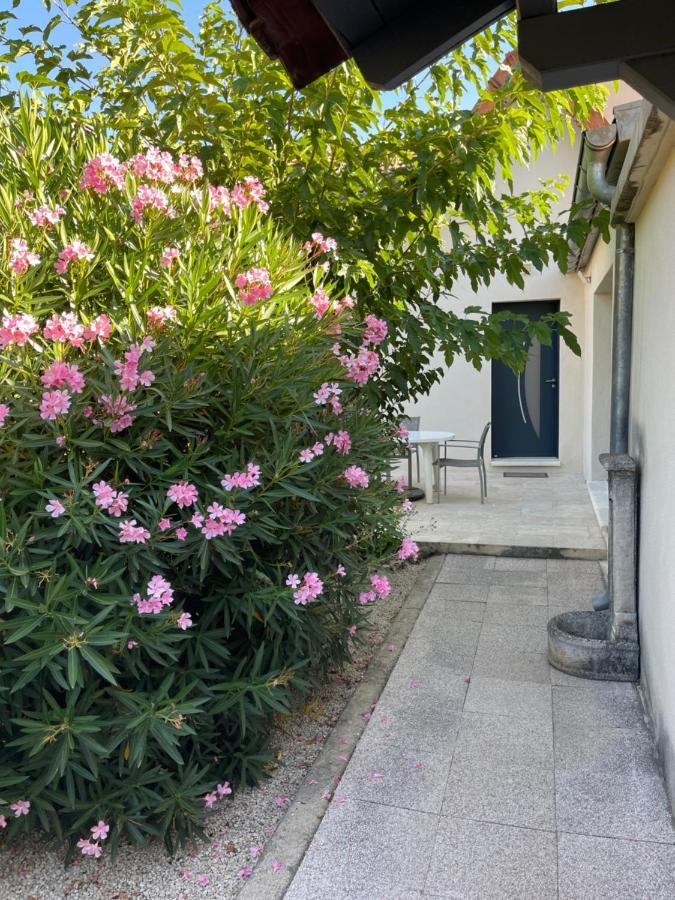 Petite Maison Pres Du Centre LʼIsle-sur-la-Sorgue Екстериор снимка